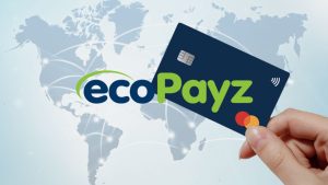 bamboospg - Registro Bet Fácil